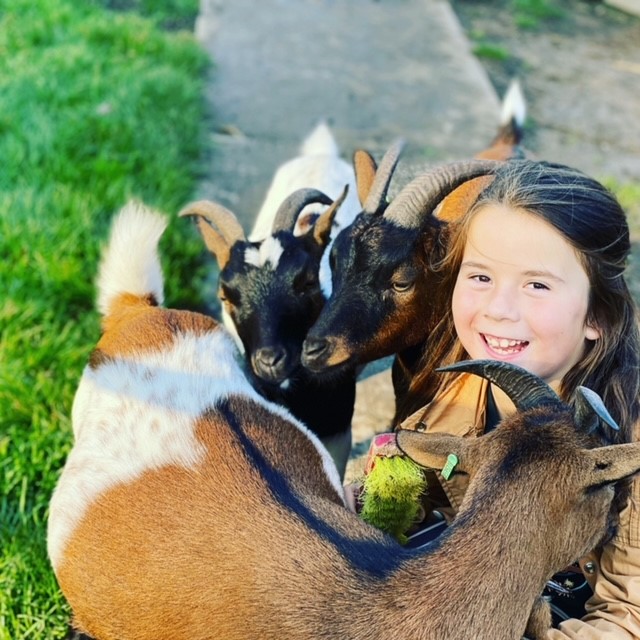 Knuffelen met je ogen